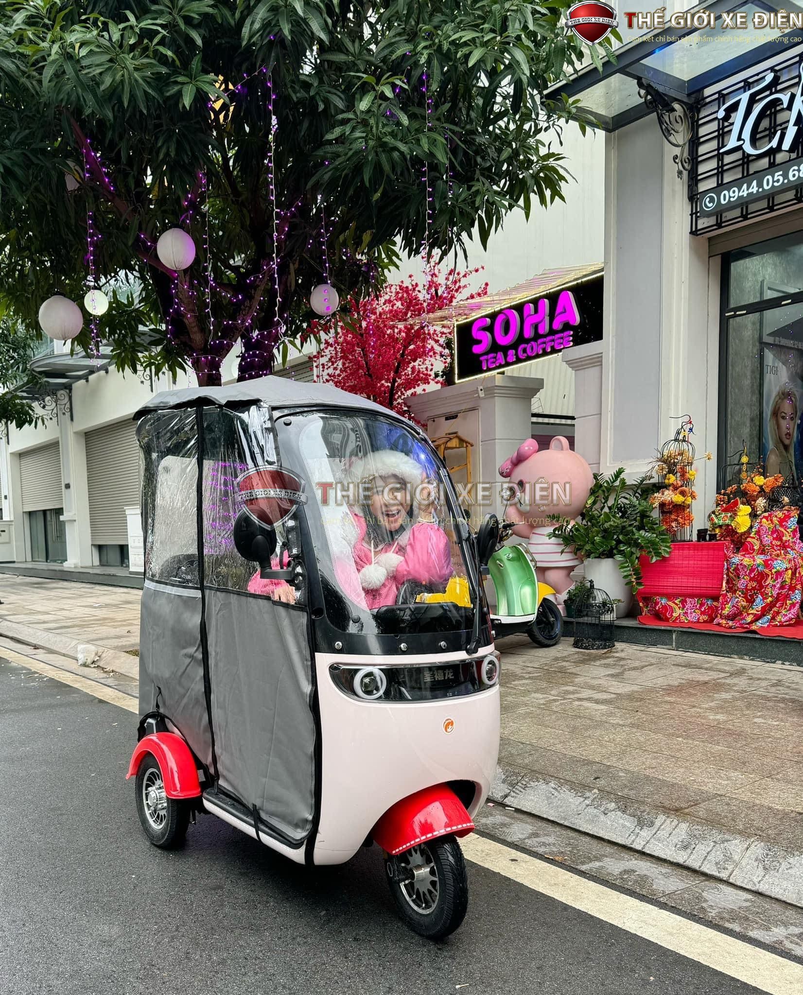 xe đạp điện 3 bánh sxlong xe đạp điện 3 bánh sxlong