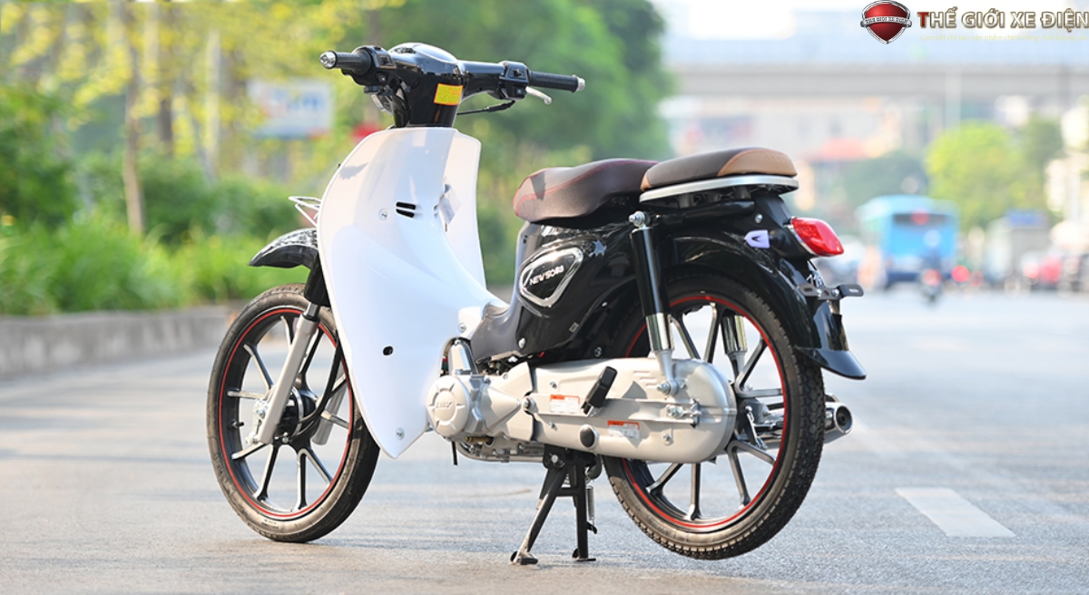 Xe Máy 50cc Cub New Vigor Ally 50SE Vành Đúc Xe Máy 50cc Cub New Vigor Ally 50SE Vành Đúc