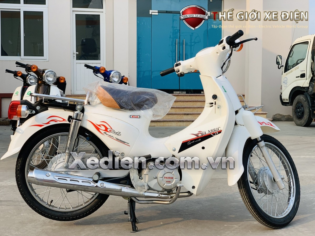 xe-cub-81-daisim