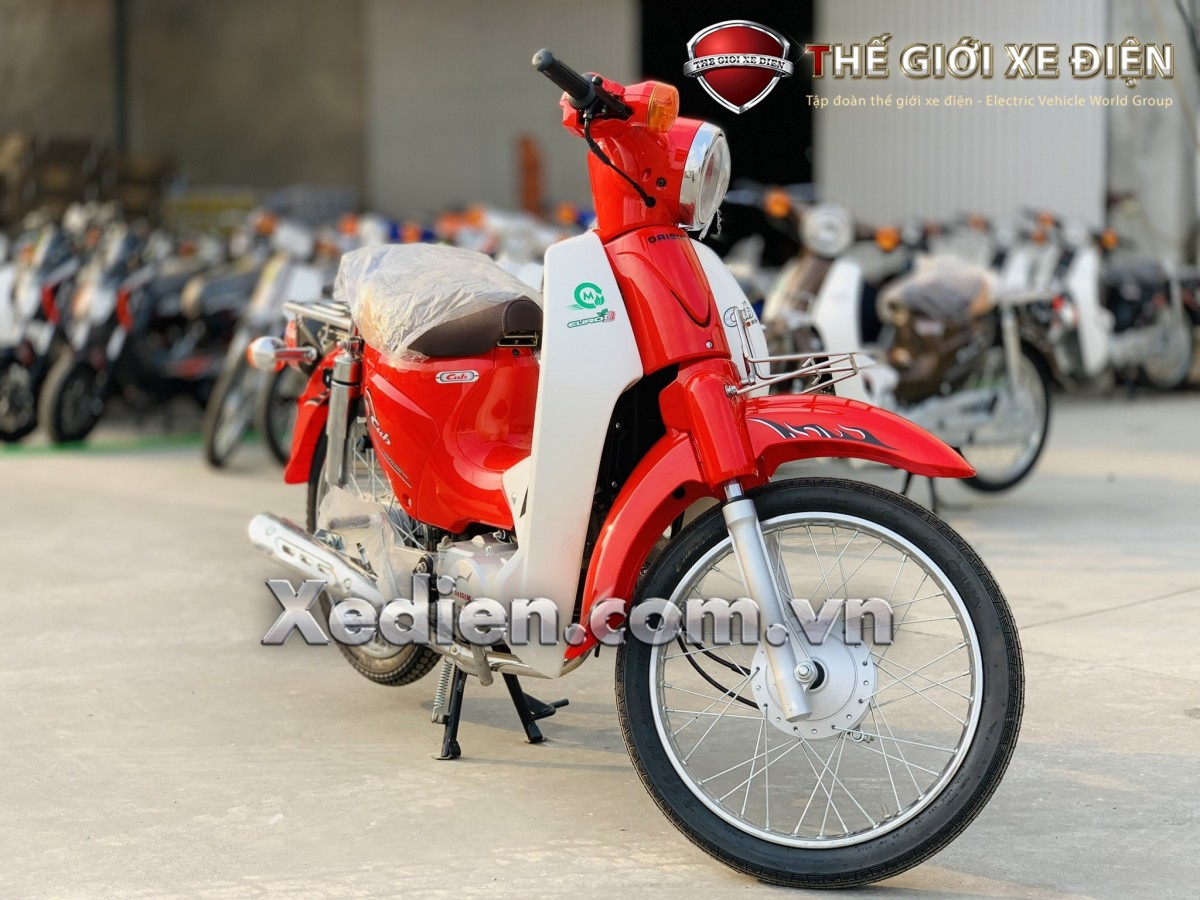 xe-cub-81-daisim
