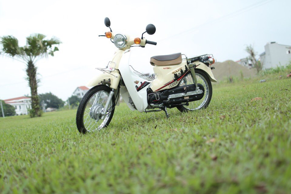 xe-may-50cc-cub-81-victoria xe-may-50cc-cub-81-victoria