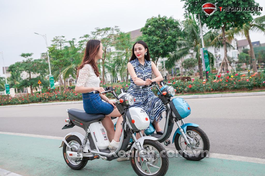 Xe đạp điện Xe đạp điện