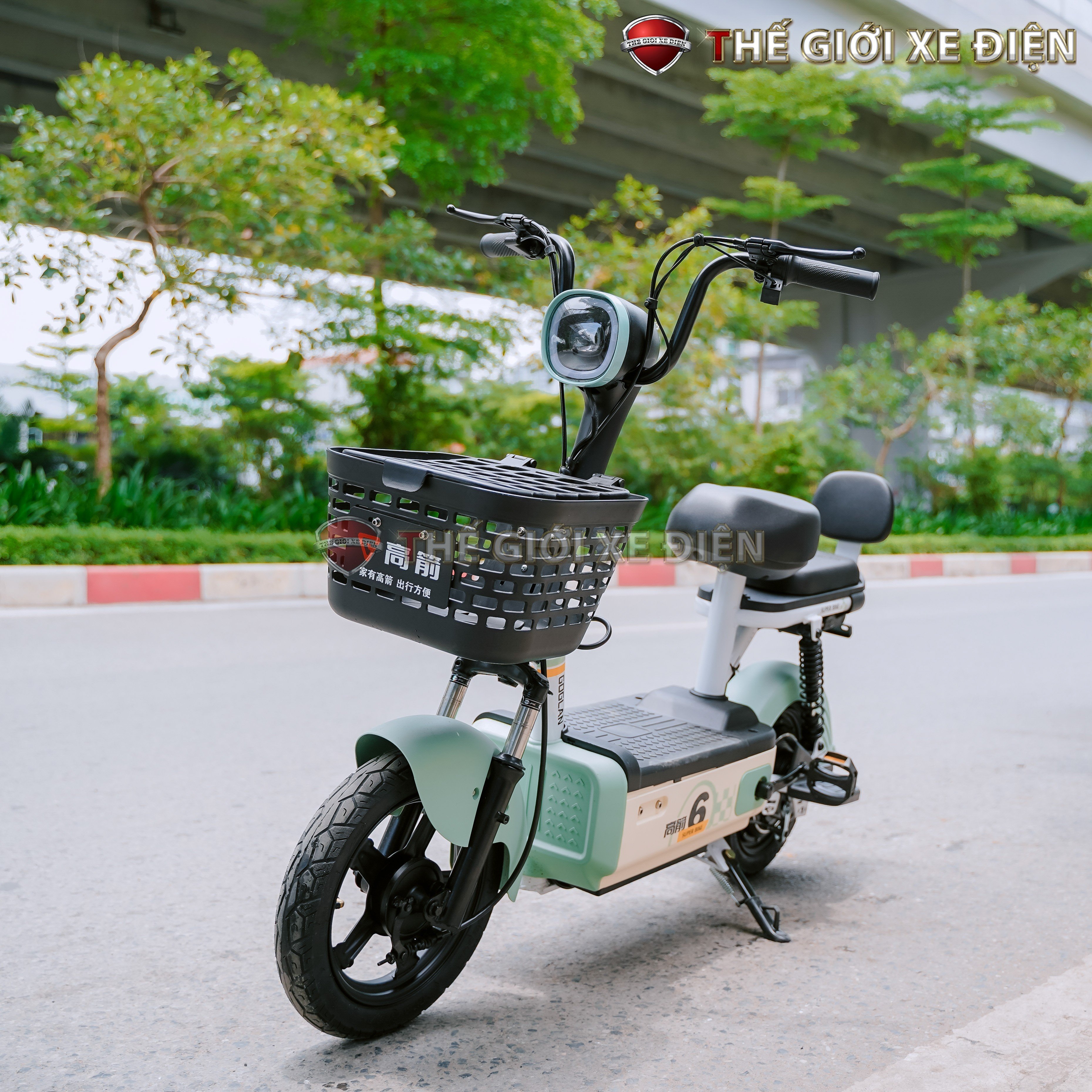 xe đạp điện goglan